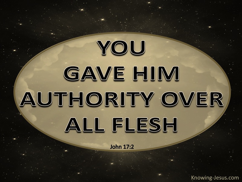 John 17:2 You Gave Him Authority Over All Flesh (gold)